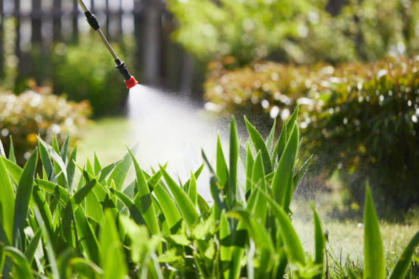 24/7 Emergency Mosquito Control experts in Dash Point, WA