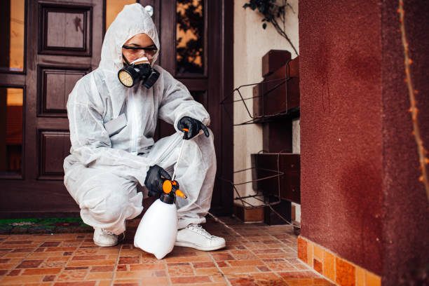 Reliable Mosquito Control contractor in Dash Point, WA by Show Me Pest Control